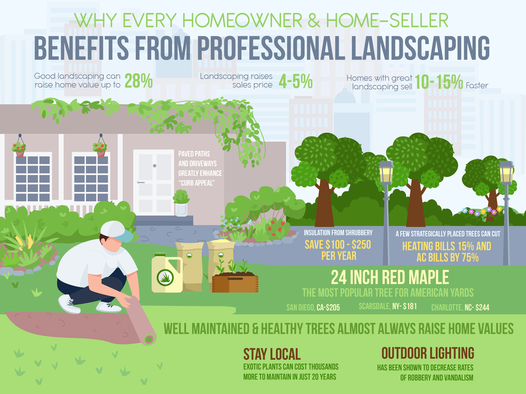lawn care maintenance infographic